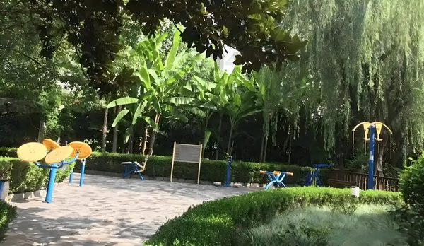 深圳盐田入户积分_李兰迪：认可自己是一件很酷的事情 李兰迪动魄就越惊心来越了